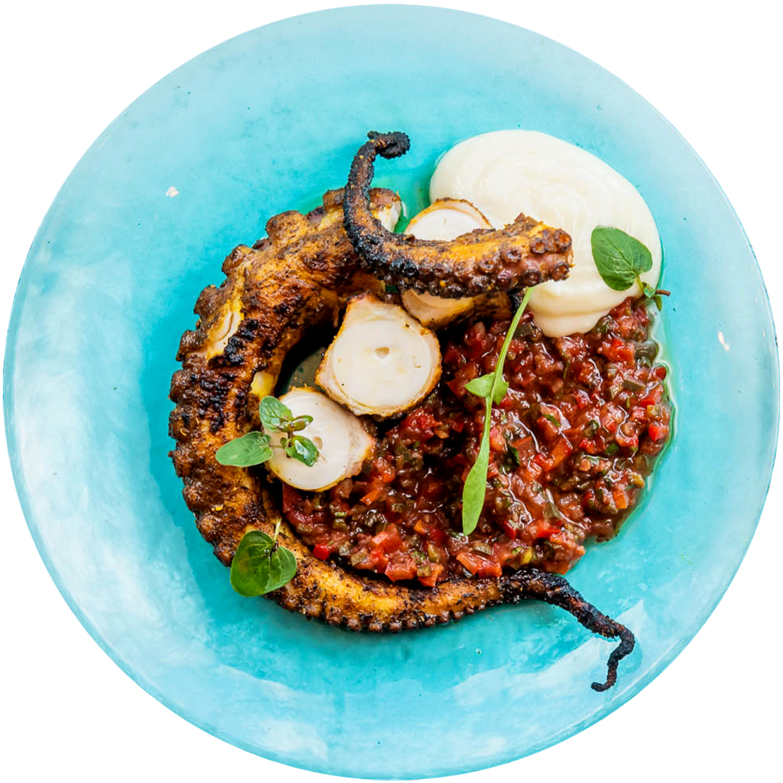 grilled octopus on a clear blue plate on a white tabletop